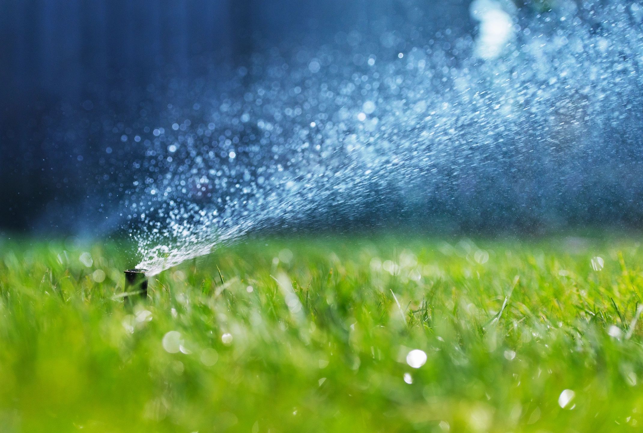 watering-in-the-winter-season-eltlandscape